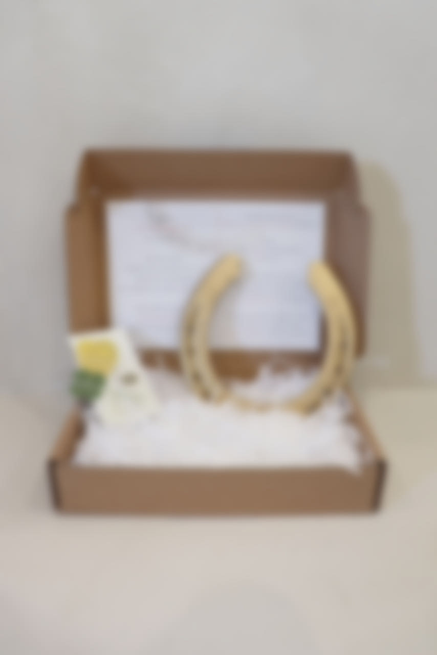 제주도 자석 말편자 상품 이미지 2